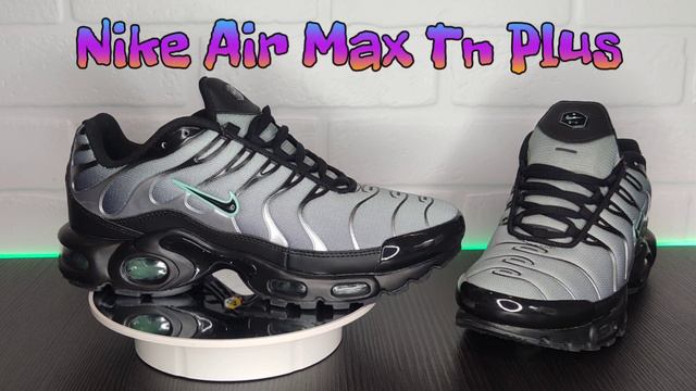 Кроссовки Nike Air Max Ten Plus in gray and black