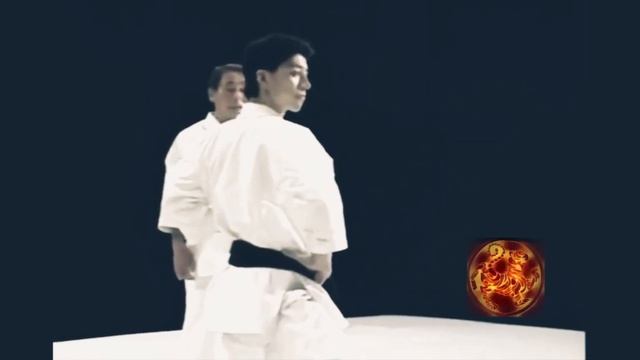 Kihon waza: how to hikite