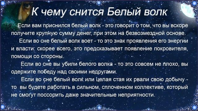 К чему снится Белый волк – толкование сна по Соннику