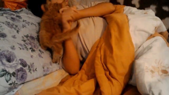 Ласковый котёнок