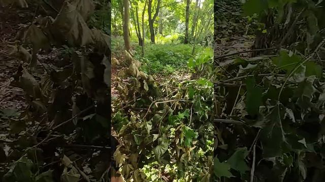 Обзор нашего штаба