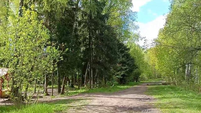 5. Кучинский лесопарк - Kuchinsky Forest Park