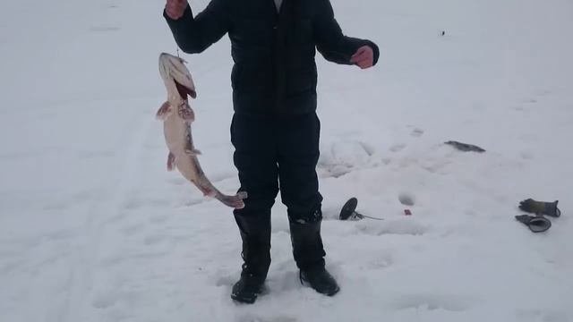 Рыбалка  ХМАО Буран 27 03 16г