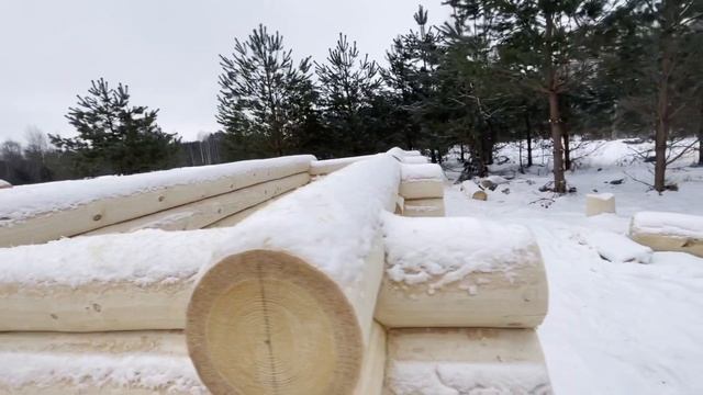 Сруб дома из сосны