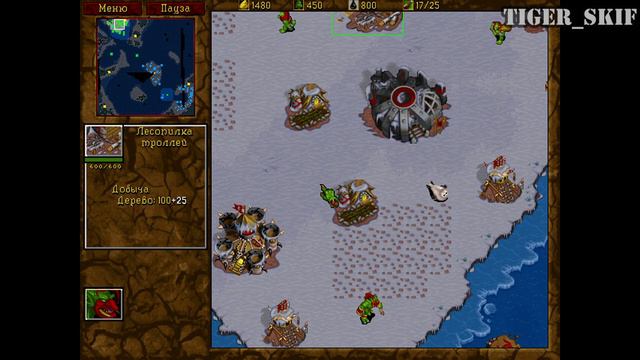 Кампания орков #10 - Warcraft II: Приливы Тьмы [Tides of Darkness]