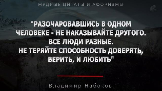Точно сказано! Мудрые Жизненные Цитаты и Афоризмы Великих людей, которые запомнятся на всю жизнь