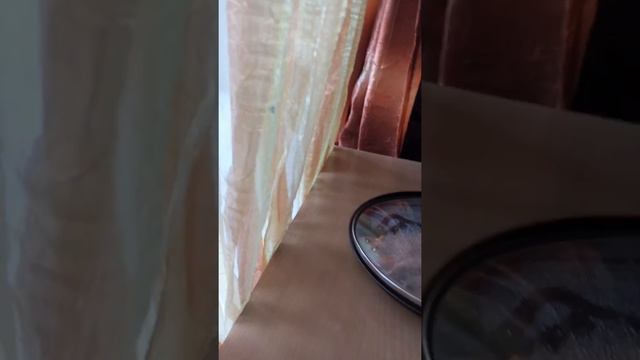 бумашки Аристотиль и тюк тюк в фильме