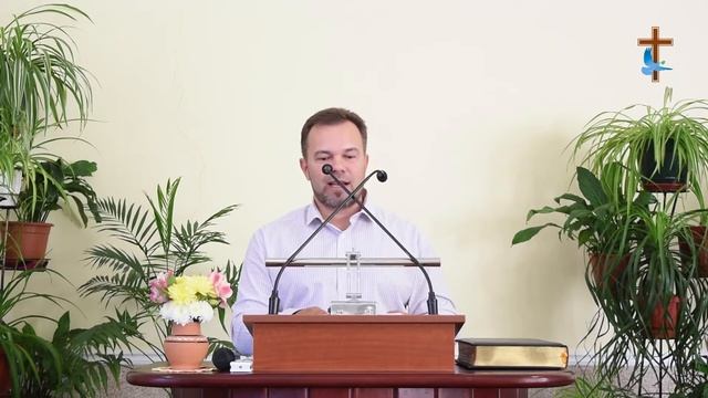 Воскресенье вечер | 20 сентября 2020