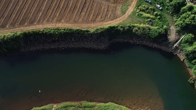 The benefits of riverbank preservation on an FNQ banana farm - Full Version