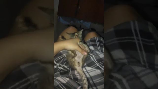 mga panahon na ayaw sya lubayan ng muta nya😂