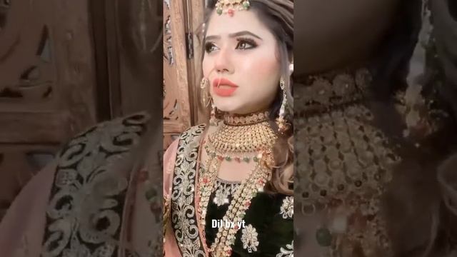 Ladkiyan paison per? Marti Hain To kamao Na?? nikon Z50 gimbal camera?? Dil bx yt
