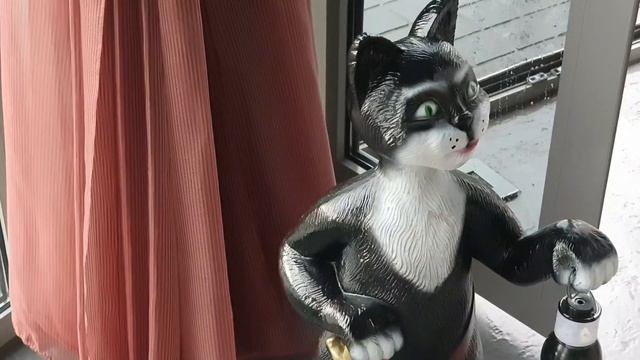 Куда поехать любителям кошек?