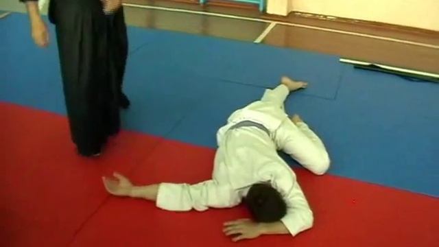 Семинарь Айкидзюдзюцу  Кодинск  2014 г  Мастер Эльбекян Т В