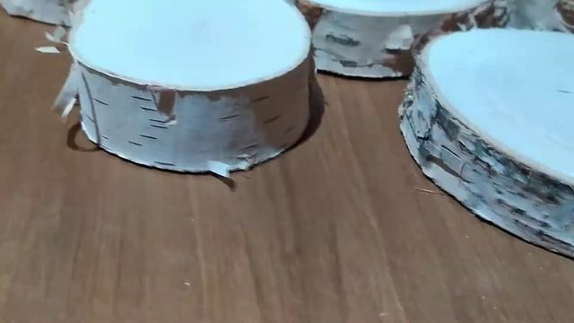 Шлифованные спилы березы 5-10см