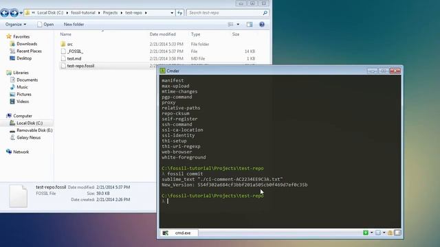 Fossil-scm 02 - Fossil editor settings  and user interface