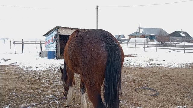 Лада, первые минуты, после приезда