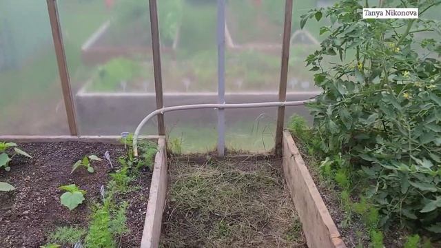 Переделали и усовершенствовали КАПЕЛЬНЫЙ ПОЛИВ