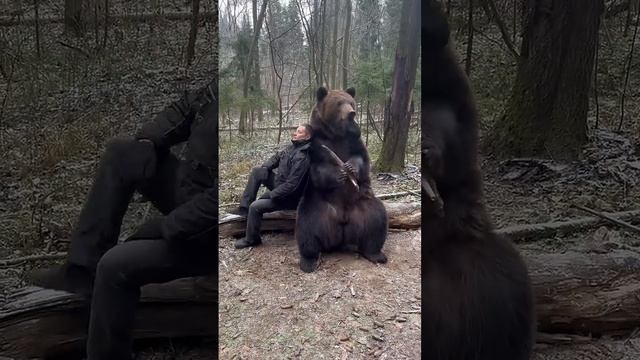 Обычный день в России