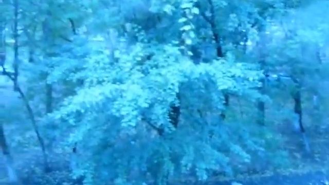 0010 Гостиница Бригантина Москва за 2500 рублей
