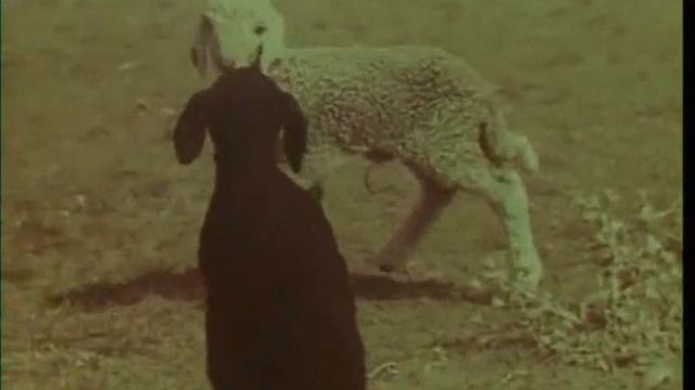 Ушарал, Таласский район, Жамбылская область, 1972 год