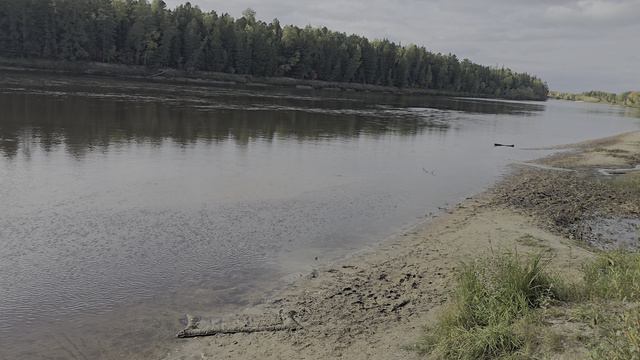 река Тромеган 14.09.24. После рыбалки показываю улов.