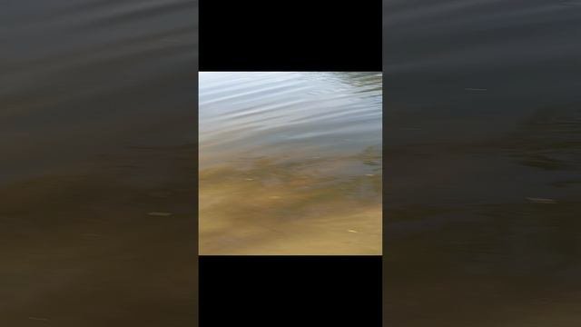 вода