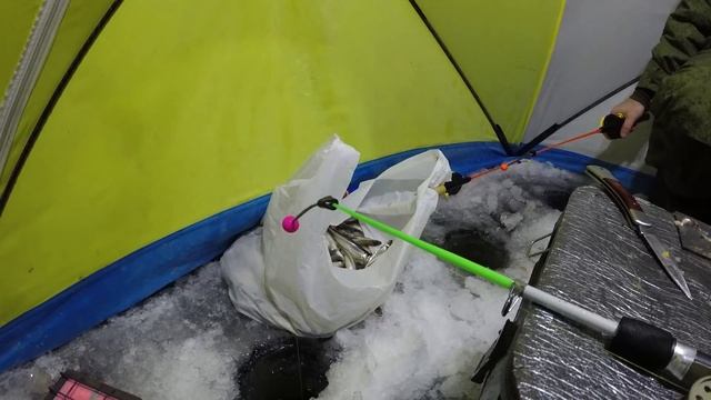 Отличный клёв корюшки / II часть / Excellent bite smelt / II part
