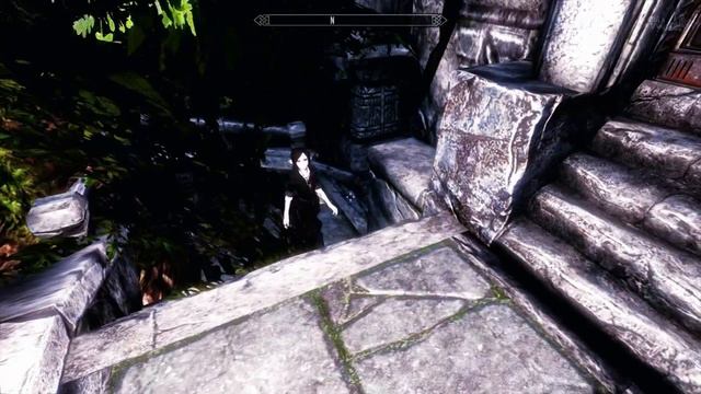 Skyrim [22]