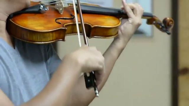 Sinomusik Stradivarius advanced oil varnish handmade Violin