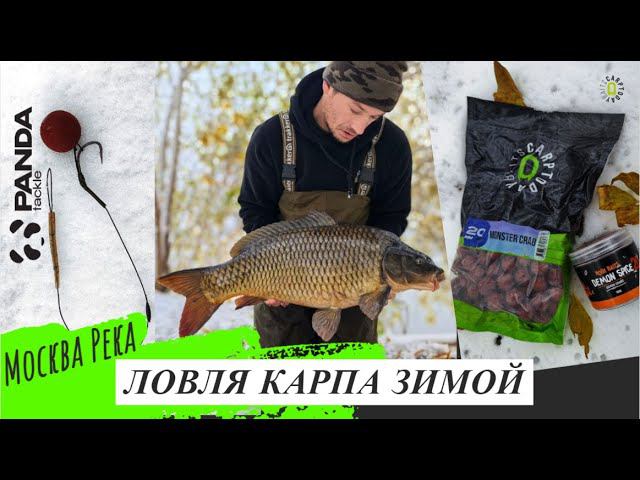 Ловля карпа зимой/Скумай VLOG №2