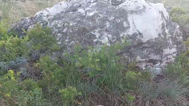 27 октября Прасковий день. Что нельзя делать в этот день. Народные приметы