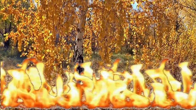 Movavi Video Suite 17: Огонь в видео