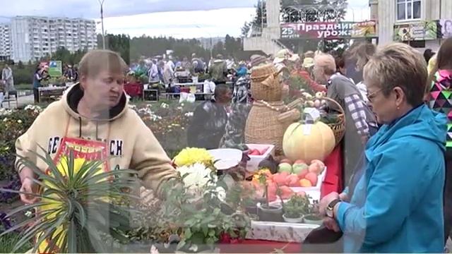 ПРАЗДНИК УРОЖАЯ 26.08.2019