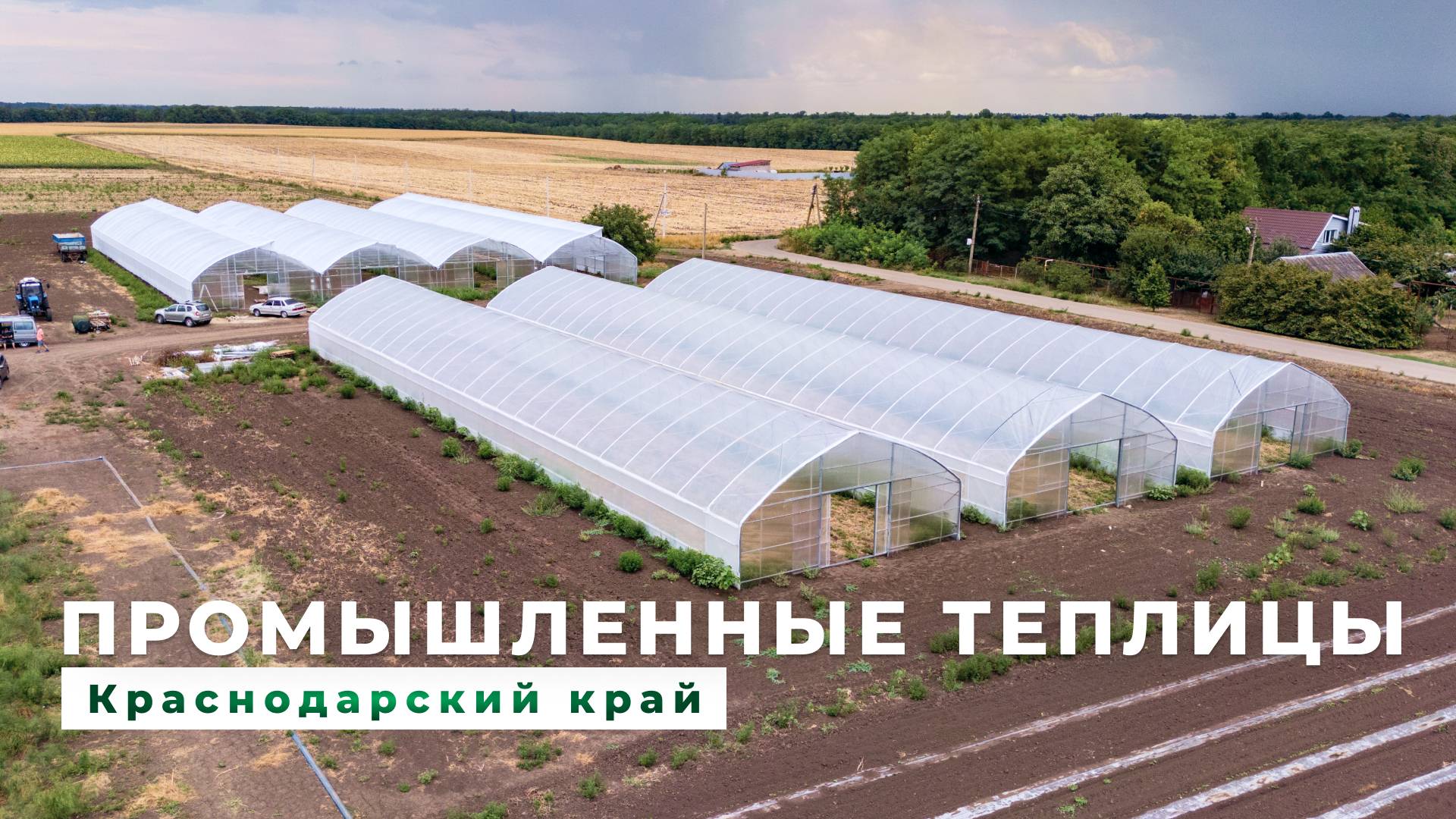 Теплицы Краснодарского края