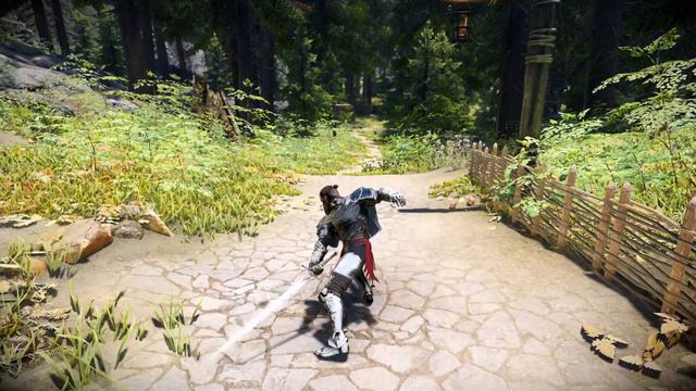 Stunning NEW Skyrim Animation (MCO Moveset)