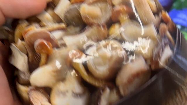 Насколько изменились цены на продукты в испанских супермаркетах? 2023 | ЖИЗНЬ В ИСПАНИИ
