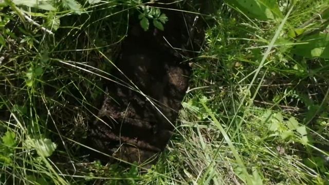 Поиск чёрного железа у Ж-Д, с металлоискателем