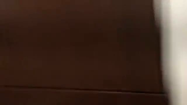 Содержимое нашего холодильника (Часть 1) Что мы едим в Америке / Наш Сан Диего