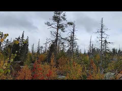 Карелия. Воттоваара