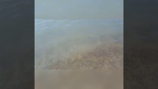 Геленджик.Тонкий мыс. Пляж 9 утра. 26 июля 2018г.