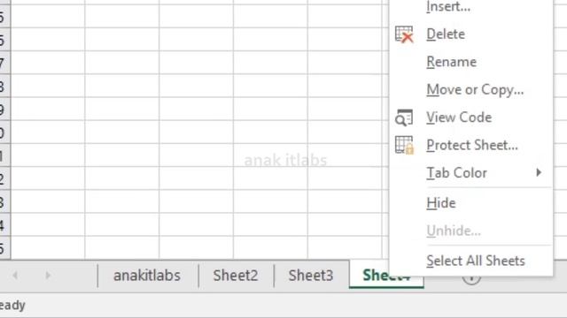 Dasar-Dasar Excel : Worksheet Pada Excel