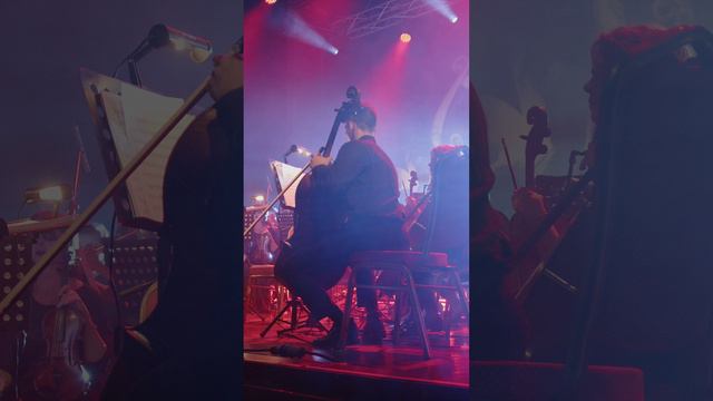 MetalliadA 17 марта 2024 Премьера в Москве#orchestra #music #livemusic #concert #live #violin #metal