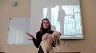 Ниценко Евгения // Г. Троепольский. «Белый Бим Чёрное ухо»