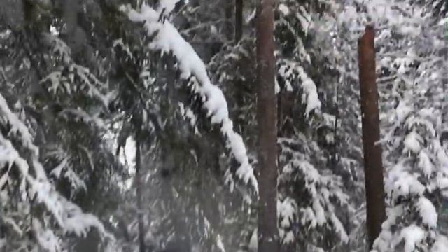 Зимний поход. Сырный суп на костре, шашлык и чай.