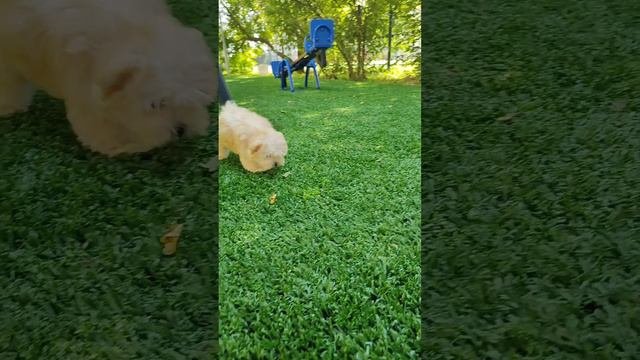 1000679743.mp4