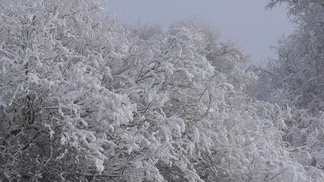 Астраханская зима  Astrakhan winter