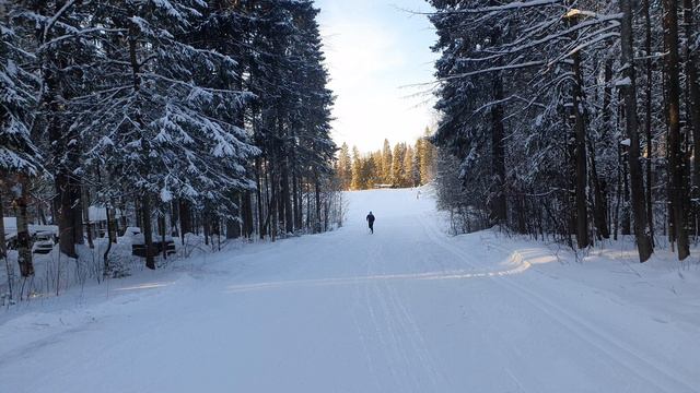 тренировка на лыжной базе Пермские медведи в городе Пермь    классическим  лыжным  ходом