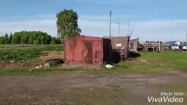 Жеребец поехал к своим кобылам !