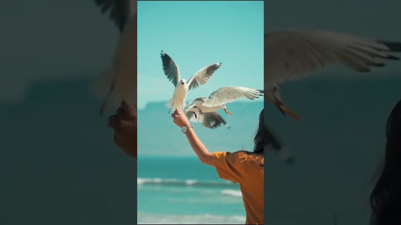 Мои океаны - Притяжение