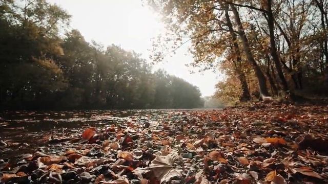 "Релакс".Красивая Расслабляющая Музыка. Нежный и крепкий СОН